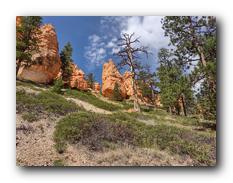 Bryce Canyon NP 55.jpg